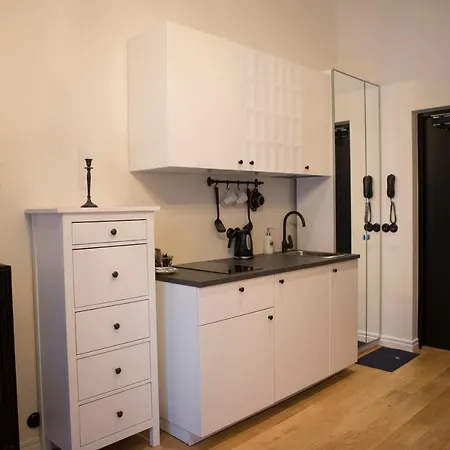 University Mini With Free Gym And Terrace Apartment *